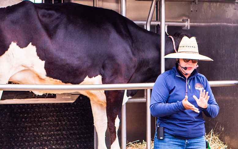 Woman standing next to a cow