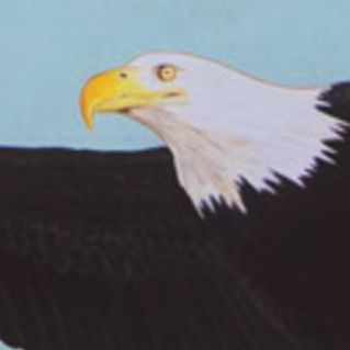 Eagles head mascot